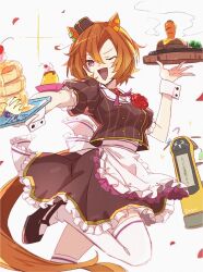 t.m. opera o (umamusume) from umamusume