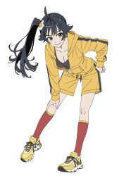 araragi karen from monogatari (series)