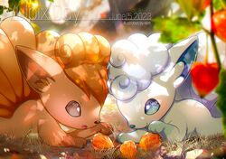 alolan vulpix from pokemon by ekm