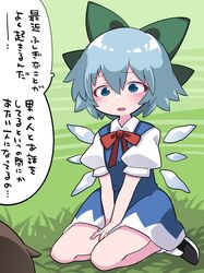 cirno from touhou by hammer (sunset beach)