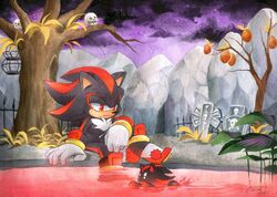 dark chao from sonic (series) by finik