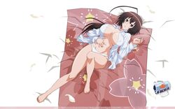 sekirei fan art