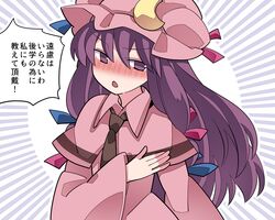 patchouli knowledge from touhou by hammer (sunset beach)