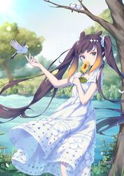 ninomae ina'nis from hololive