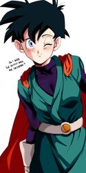 great saiyaman 2 from dragon ball