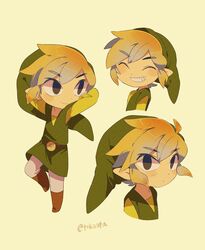 link from the legend of zelda by tokuura