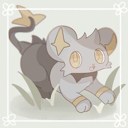 shinx from pokemon