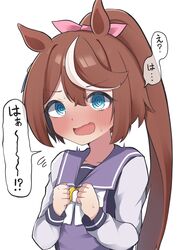 tokai teio (umamusume) from umamusume