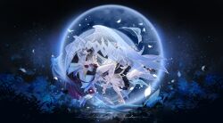 columbina (genshin impact) from genshin impact by caisena