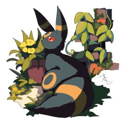 umbreon from pokemon