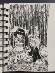 inaba tewi from touhou by suteruko