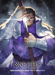 one piece fan art