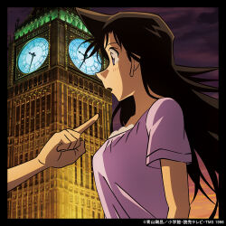mouri ran from meitantei conan