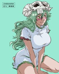 nelliel tu odelschwanck from bleach