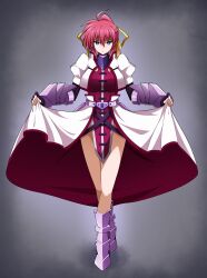 signum from lyrical nanoha by oshimaru026