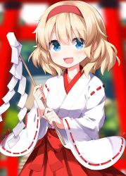 alice margatroid from touhou by ruu (tksymkw)