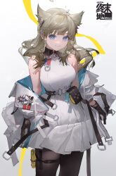 perlica (arknights) from arknights