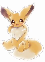 eevee from pokemon