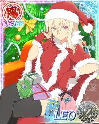 leo (senran kagura) from christmas