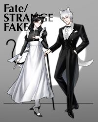 fate/strange fake fan art