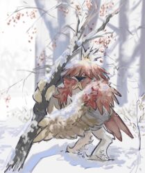 hisuian decidueye from pokemon