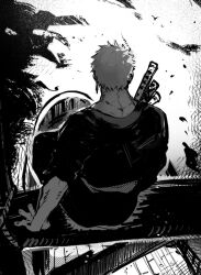 roronoa zoro from one piece