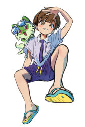florian (pokemon) from pokemon