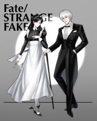 fate/strange fake fan art
