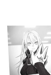 fate:lost einherjar fan art