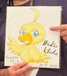 ahiru (princess tutu) from princess tutu by itou ikuko
