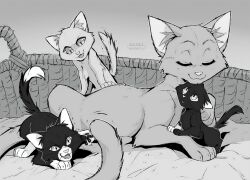 scourge (warrior cats) from the prophecies begin