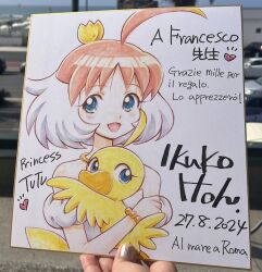 ahiru (princess tutu) from princess tutu by itou ikuko