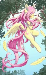 fluttershy from my little pony by uno usaya