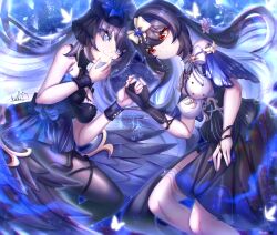 seele (alter ego) from honkai (series)