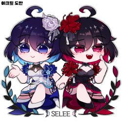 seele (alter ego) from honkai (series)
