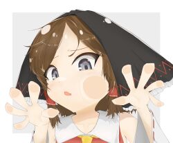 hakurei reimu from cookie (touhou)