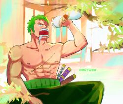 roronoa zoro from one piece