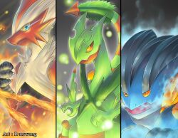 blaziken from pokemon