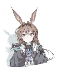 amiya (arknights) from arknights