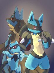 lucario from pokemon