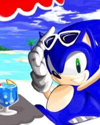 sonic the hedgehog from sonic (series)