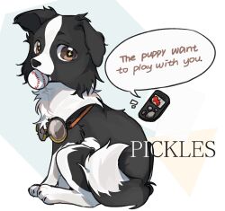 pickles (reverse:1999) from reverse:1999