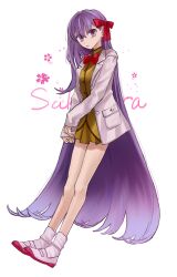 fate/extra fan art