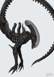 xenomorph from alien (series) by hashimoto yusuke