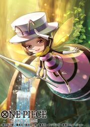 one piece fan art