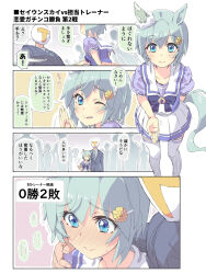 seiun sky (umamusume) from umamusume by homing (areya)