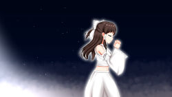 hakurei reimu from concealed the conclusion