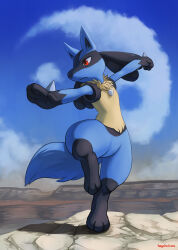 lucario from pokemon by haychel