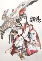 mamahaha from samurai spirits by ahn dongshik