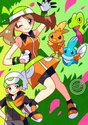 brendan (pokemon) from pokemon